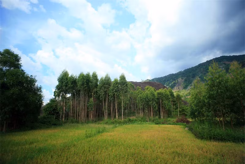 Theo như lời kể thì đá Voi Mẹ sau nhiều lần dịch chuyển đã tiến về sát chân núi. Còn đá Voi Cha ban đầu ở phía Bắc, hướng mặt ra hồ Lăk nhưng chỉ sau một đêm, người ta đã nhìn thấy nó nằm giữa một cánh đồng lúa mênh mông, cạnh đó vẫn còn hai mương nước dài được cho là đường đi của hòn đá. Người ta tin rằng hai hòn đá này dịch chuyển để tiến lại gần nhau. Ảnh: Kiến Thức.