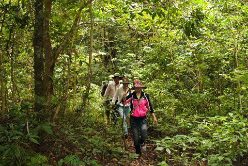 Vườn Quốc gia Kon Ka Kinh. Ảnh nguồn internet 