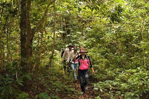 Vườn Quốc gia Kon Ka Kinh. Ảnh nguồn internet Vườn Quốc gia Kon Ka Kinh. Ảnh nguồn internet