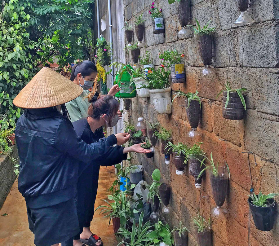 Từ những đồ nhựa phế thải, chị Lê Hà Duy Ái đã tận dụng để trồng cây xanh, trồng hoa, tạo ra bức tường màu xanh trong không gian sống. Ảnh: Minh Châu