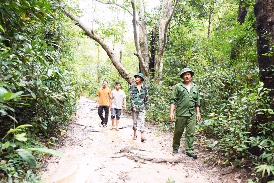 Mô hình giao khoán quản lý bảo vệ rừng cho cộng đồng, nhóm hộ, các tổ chức góp phần cải thiện thu nhập, phát triển sinh kế cho người dân sống gần rừng