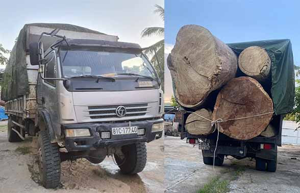 số gỗ trên xe 81C-177.40