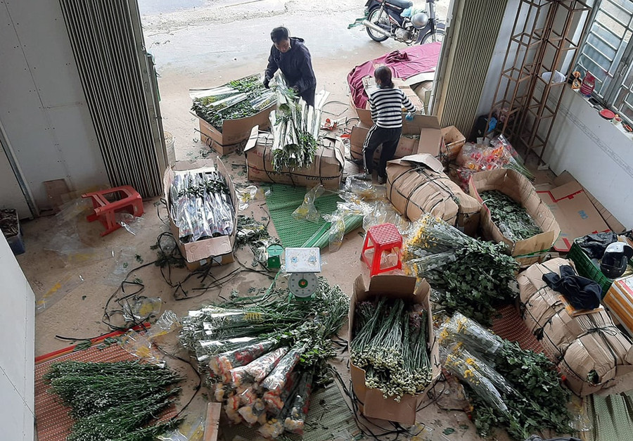 Nhộn nhịp đóng hoa đi TP.HCM và các tỉnh - ẢNH: LÂM VIÊN Nhộn nhịp đóng hoa đi TP.HCM và các tỉnh - ẢNH: LÂM VIÊN