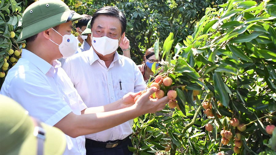 Ông Lê Minh Hoan cho rằng, chuyển đổi số trong nông nghiệp là xu thế tất yếu, minh bạch thông tin dữ liệu để kết nối cung - cầu - Ảnh Văn Giang