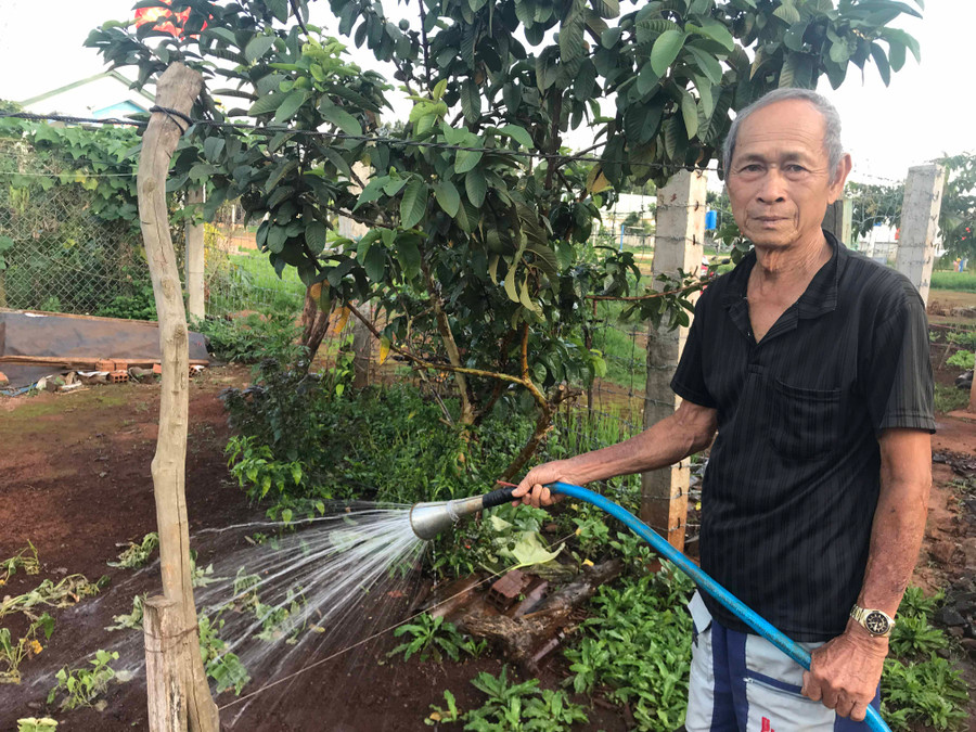 Ông Ngạn dùng nước sạch tưới rau xanh trong vườn
