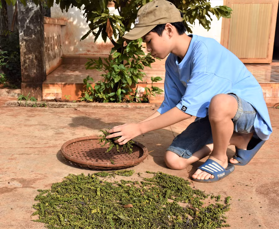 Ngoài giờ học, Quân tranh thủ giúp ba mẹ việc nhà. Ảnh Trần Dung