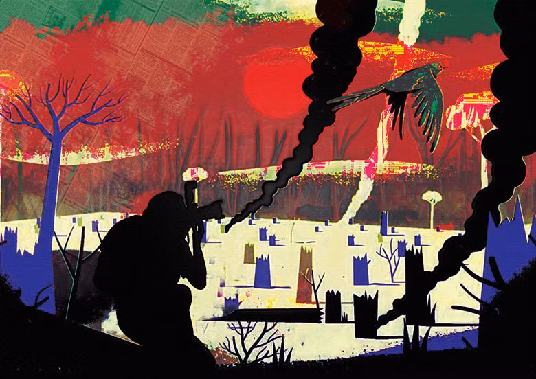  Minh họa: Phan Nhân