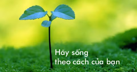 Ảnh minh họa: Internet