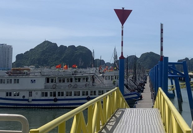 Hiện các du thuyền khai thác hoạt động tham quan và nghỉ đêm trên vịnh (cả vịnh Lan Hạ và vịnh Hạ Long) đều phải về neo đậu tại Quảng Ninh. Quang cảnh vắng lặng chưa từng có. (Ảnh: CTV/Vietnam+)