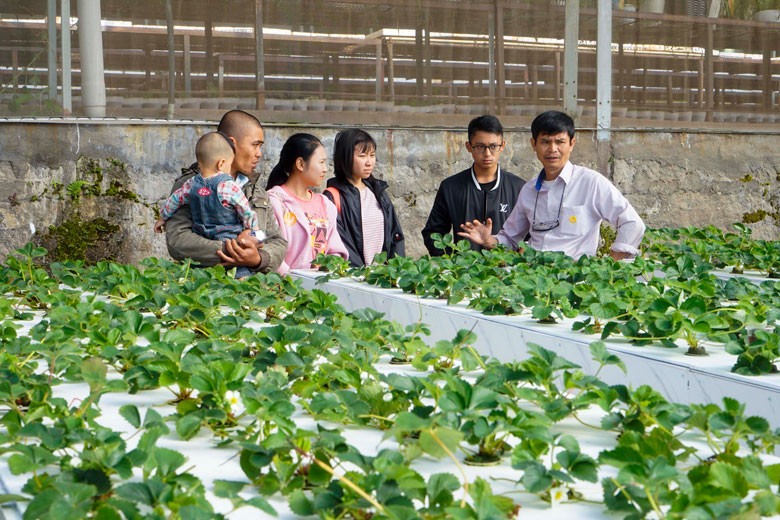 …Giao lưu học hỏi giữa các thế hệ nông dân (Ảnh chụp trước ngày 27/4) …Giao lưu học hỏi giữa các thế hệ nông dân (Ảnh chụp trước ngày 27/4)