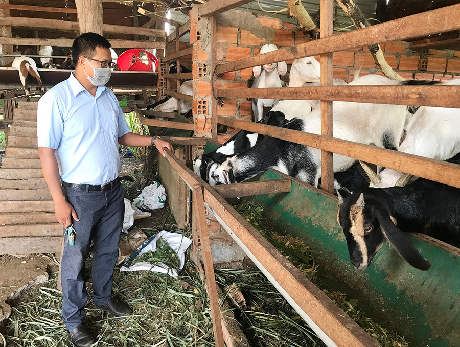 Ông Đỗ Văn Đặng- Chủ tịch Hội Nông dân xã Ia Le. Ảnh: Nguyễn Diệp