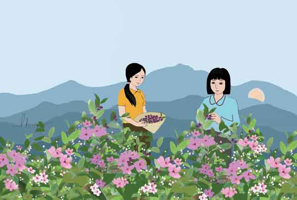Minh họa: Huyền Trang