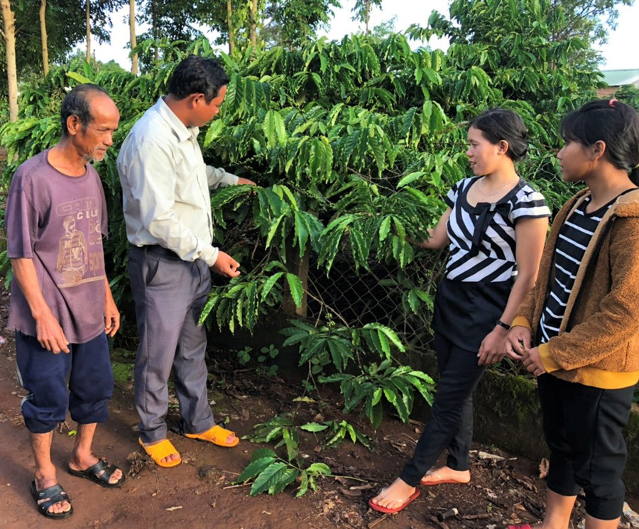 Ông Rơ Châm Bóp-Bí thư Chi bộ làng Kênh (thứ hai từ trái sang) hướng dẫn người dân kỹ thuật tỉa cành cà phê. Ảnh: Đinh Yến Bí thư chi bộ kiêm trưởng thôn Rơ Châm Bóp làng Kênh (thứ hai bìa trái) hướng dẫn người dân kỹ thuật tỉa cành cà phê. Ảnh: Đinh Yến