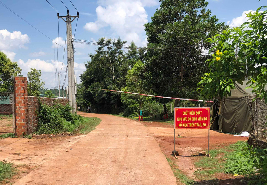 Địa phương đã thành lập chốt khu vực có dịch bệnh viêm da nổi cục trên trâu, bò