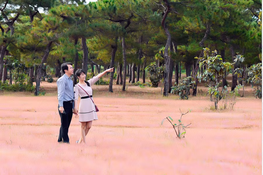 Rừng thông sẽ không mất đi mà còn tạo điểm nhấn cho Sân golf Đak Đoa