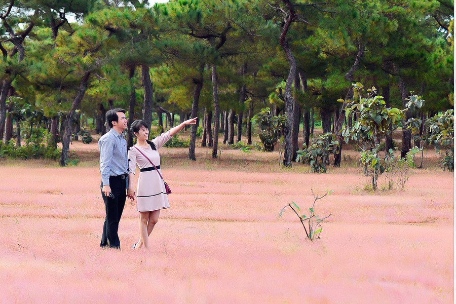 Rừng thông sẽ không mất đi mà còn tạo điểm nhấn cho Sân golf Đak Đoa