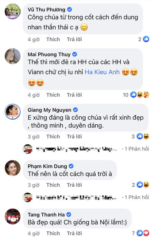 Nhiều nghệ sĩ bình luận trên Facebook của Hà Kiều Anh