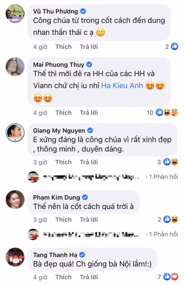 Nhiều nghệ sĩ bình luận trên Facebook của Hà Kiều Anh