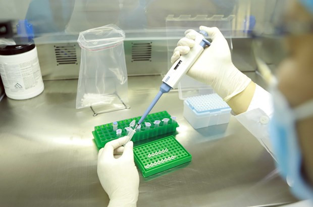 (Ảnh minh hoạ: TTXVN/Vietnam+)