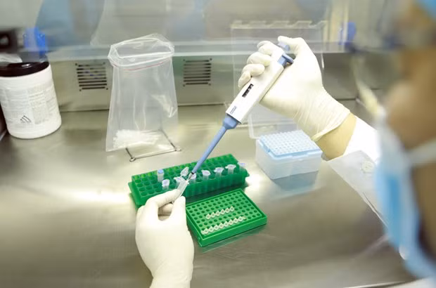 (Ảnh minh hoạ: TTXVN/Vietnam+)