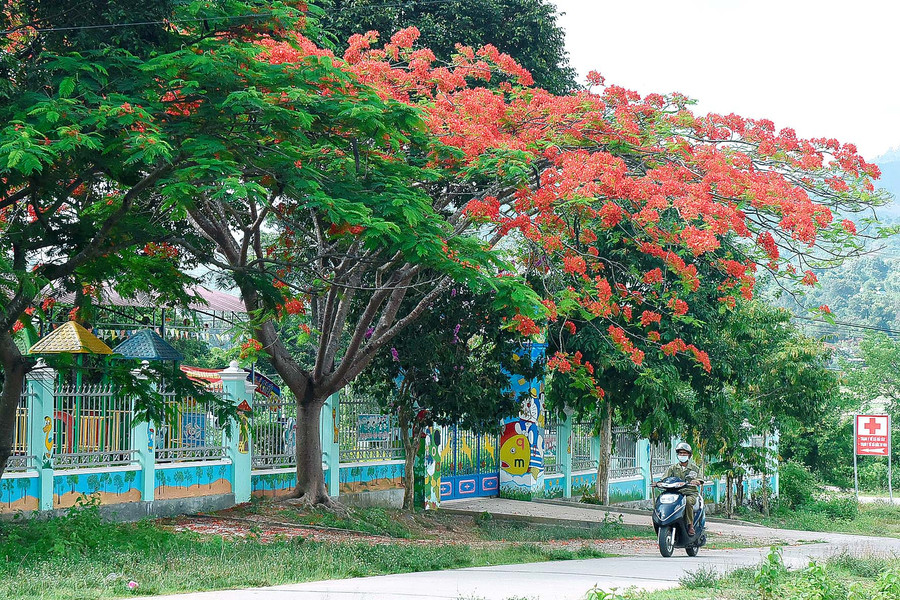 Trường Mầm non xã Đak Tơ Ve vừa mới đầu tư 2 phòng học, 1 nhà ăn, hàng rào và sân bê tông, được đưa vào sử dụng với tổng kinh phí xây dựng gần 1,5 tỷ đồng, phục vụ chăm sóc và nuôi dạy hơn 110 trẻ.