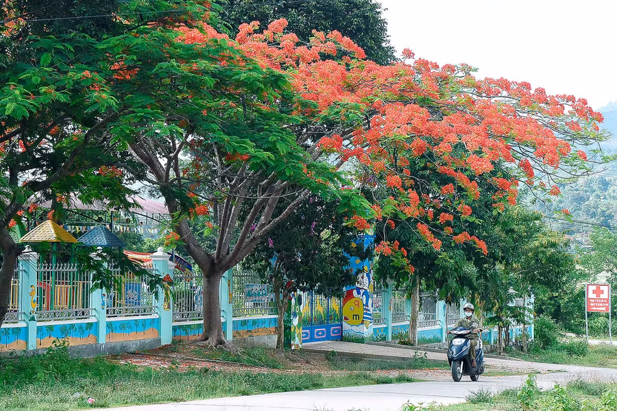 Trường Mầm non xã Đak Tơ Ve vừa mới đầu tư 2 phòng học, 1 nhà ăn, hàng rào và sân bê tông, được đưa vào sử dụng với tổng kinh phí xây dựng gần 1,5 tỷ đồng, phục vụ chăm sóc và nuôi dạy hơn 110 trẻ.