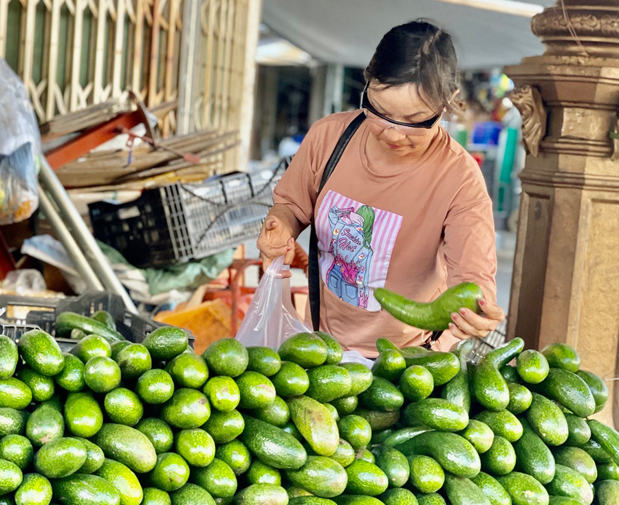 Giá bơ giảm mạnh khiến nhiều nhà vườn thất thu. Ảnh: Vũ Thảo Giá bơ giảm mạnh khiến nhiều nhà vườn thất thu. Ảnh: Vũ Thảo