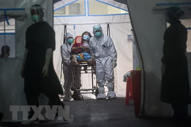 Nhân viên y tế chuyển bệnh nhân COVID-19 tới bệnh viện ở Jakarta, Indonesia. (Ảnh: THX/TTXVN) Nhân viên y tế chuyển bệnh nhân COVID-19 tới bệnh viện ở Jakarta, Indonesia. (Ảnh: THX/TTXVN)