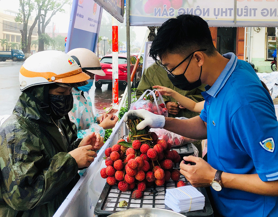 Điểm bán hàng do Đoàn khối các Cơ quan và Doanh nghiệp tỉnh tổ chức hỗ trợ nông dân Bắc Giang tiêu thụ vải thiều.Ảnh: Phan Lài