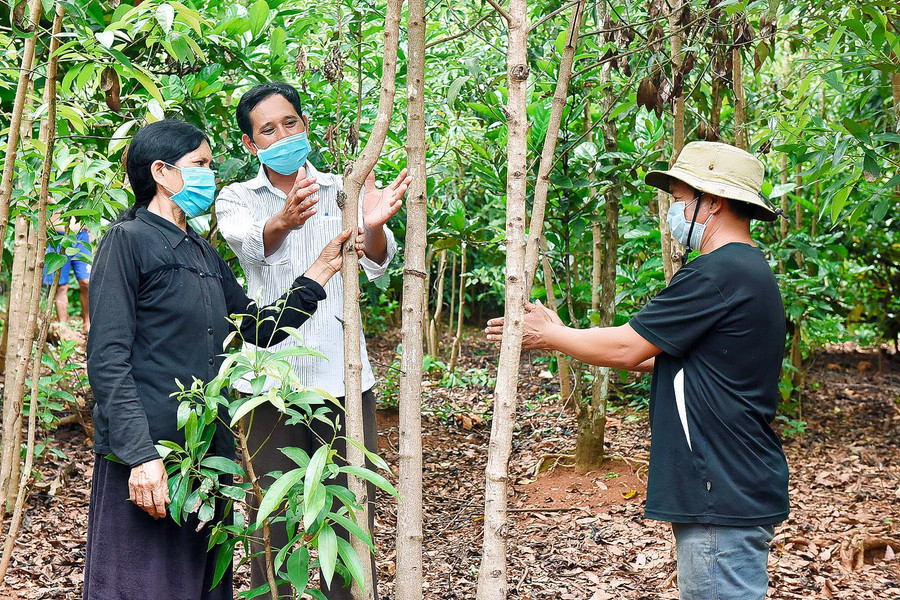 Thôn trưởng Phiu (người đứng giữa) nói: “Nhờ sự hỗ trợ của Đảng và Nhà nước đã đầu tư cơ sở hạ tầng, giúp người dân vay vốn ưu đãi để làm ăn phát triển kinh tế gia đình, tăng thêm thu nhập cho người dân. So với trước đây thì bây giờ thu nhập của nhiều hộ gia đình được cải thiện hơn. Nhờ vậy, các hộ dân đều rất vui mừng và chăm chỉ làm ăn để vươn lên thoát nghèo, từng bước đưa làng Tuêk cán đích nông thôn mới”.
