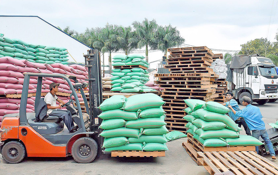 Mặc dù bị ảnh hưởng dịch Covid-19 nhưng khối lượng cà phê xuất khẩu của tỉnh trong 6 tháng đầu năm 2021 vẫn tăng mạnh so với cùng kỳ năm ngoái. Ảnh: Đức Thụy