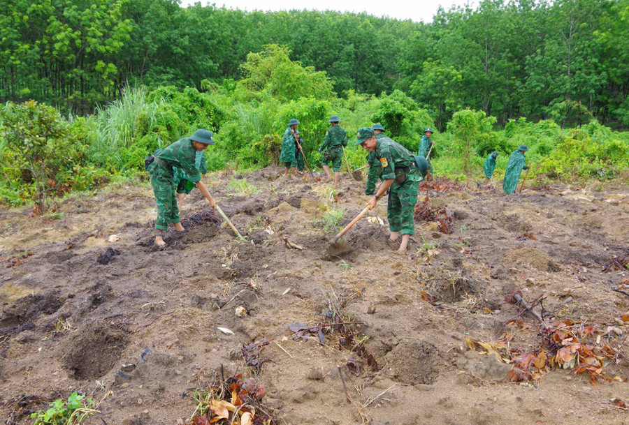 Hình ảnh bộ đội Biên phòng tham gia trồng 5.000 cây keo lai được đăng tải trên trang Facebook “Biên cương xanh Gia Lai”. Ảnh: Anh Huy