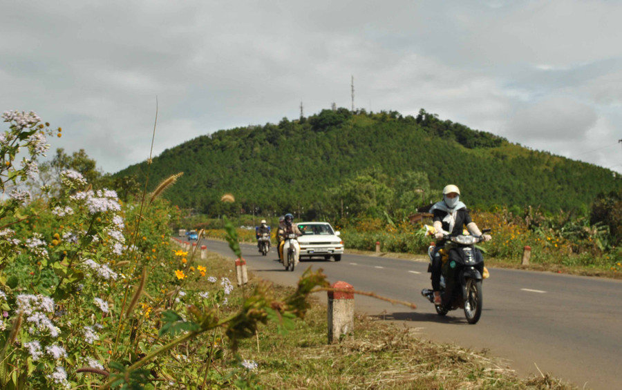 Dốc Hàm Rồng. Ảnh: Bích Hà