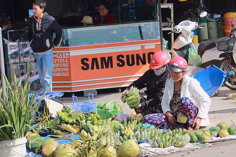 Nải chuối được nhiều người lựa chọn để bày biện mâm ngũ quả trên bàn thờ ngày Tết. Ảnh: Hồng Thi