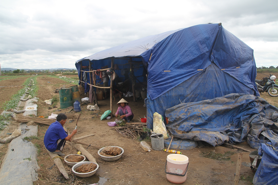 Căn chòi tuềnh toàng 9 người ở của gia đình ông Nguyễn Văn Đa. Ảnh: Văn Ngọc Căn chòi tuềnh toàng 9 người ở của gia đình ông Nguyễn Văn Đa. Ảnh: Văn Ngọc