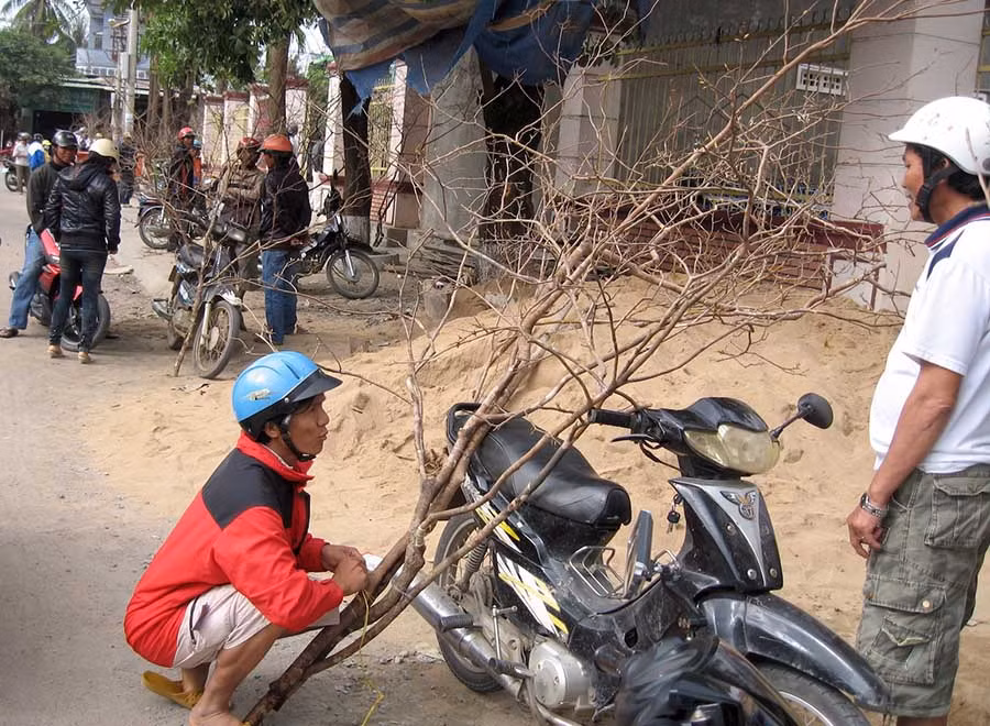 Chợ mai rừng Ayun Pa. Ảnh: Trần Đức