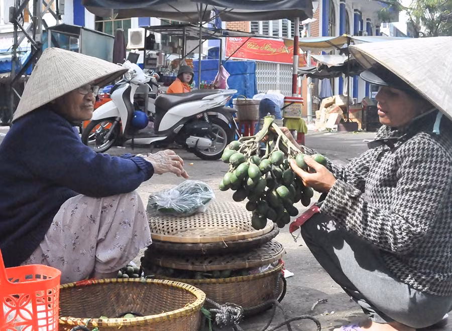 Trái cau phải xanh và tươi thì người mua sẽ hài lòng và người bán cũng sẽ suôn sẻ cả năm. Ảnh: Trần Dung