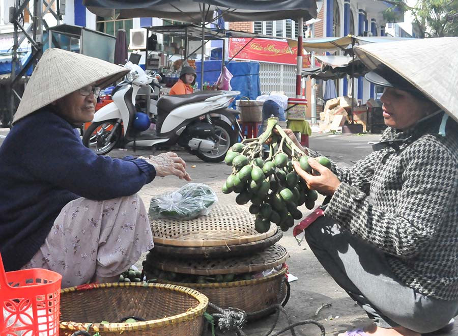 Trái cau phải xanh và tươi thì người mua sẽ hài lòng và người bán cũng sẽ suôn sẻ cả năm. Ảnh: Trần Dung