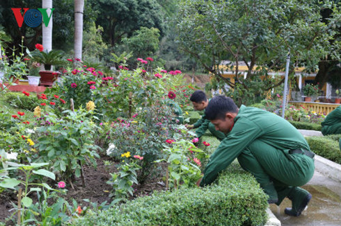 Các chiến sĩ chăm sóc cây hoa. Các chiến sĩ chăm sóc cây hoa.
