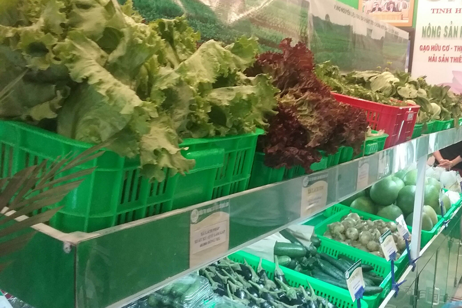 Rau sạch được bày bán tại cửa hàng số 16-Phan Bội Châu, TP.Pleiku. Ảnh: Đ.L