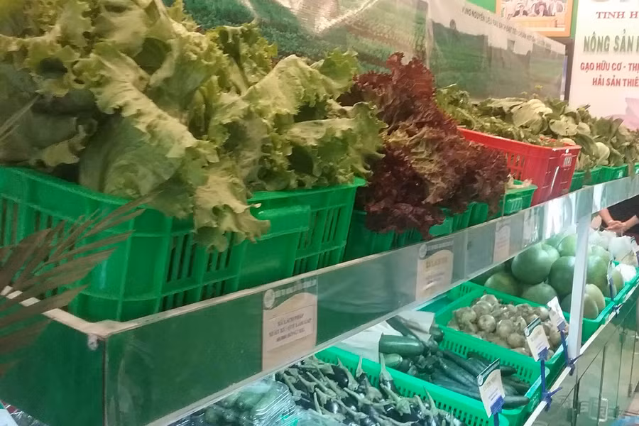 Rau sạch được bày bán tại cửa hàng số 16-Phan Bội Châu, TP.Pleiku. Ảnh: Đ.L