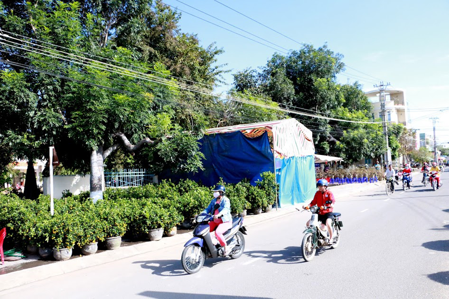 Hoa tết đã được bày bán ở nhiều tuyến đường nội thị.