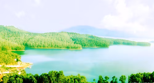 Một góc lòng hồ Phú Ninh.