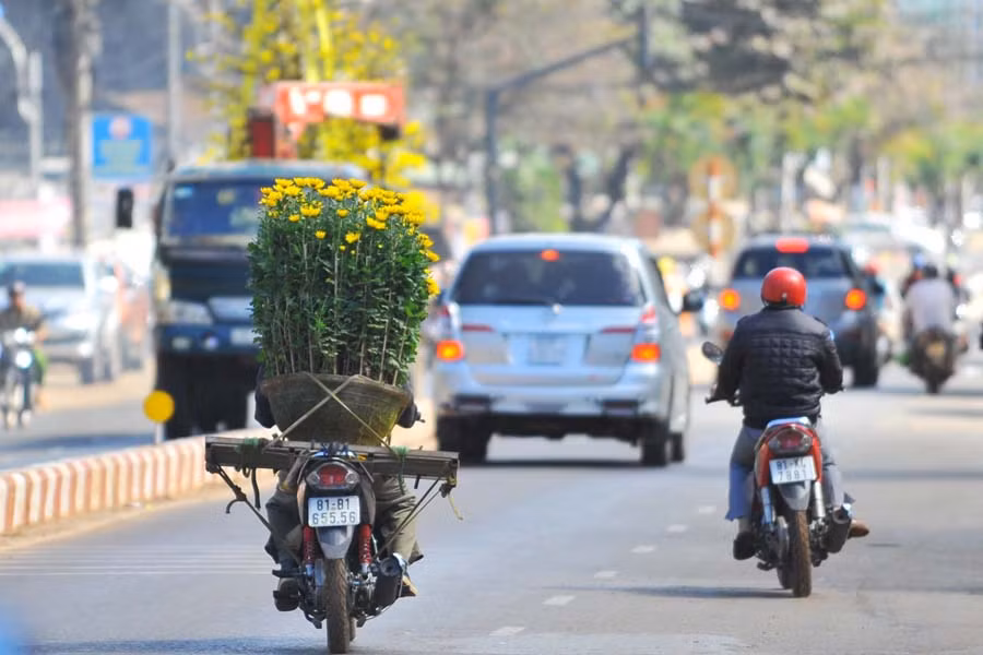 Người người tranh thủ mua sắm hoa trưng bày ngày Tết. 4