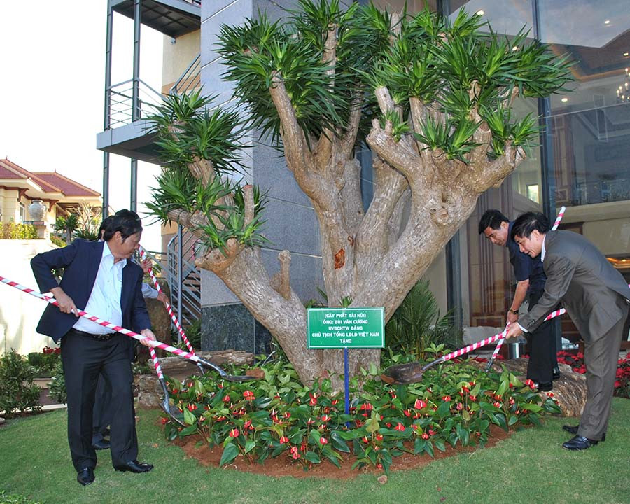 Đồng chí Bùi Văn Cường (người đứng bên phải) trồng cây đầu năm tặng Tập đoàn Đức Long Gia Lai. Ảnh: Lan Tiên Đồng chí Bùi Văn Cường trồng cây đầu năm tặng Tập đoàn Đức Long Gia Lai. Ảnh: Lan Tiên