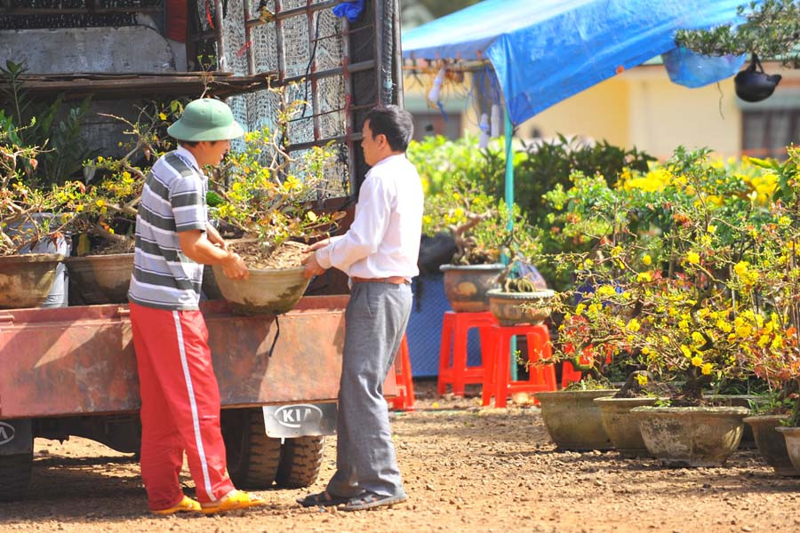 Nhiều loại hoa, quả được chủ hàng mang đến chợ hoa. 5
