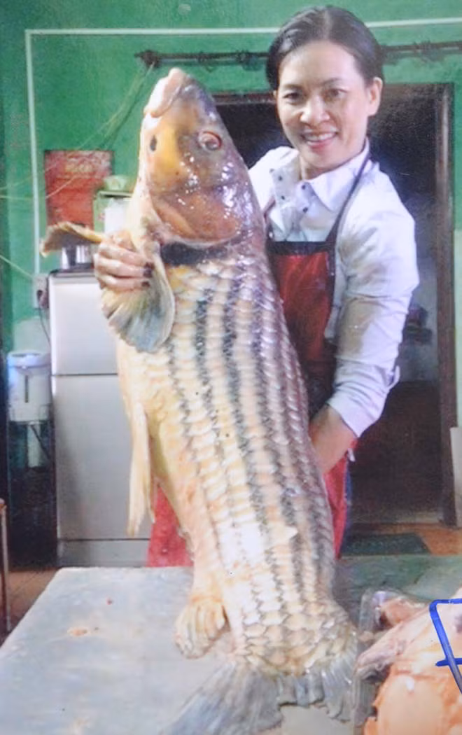 Ảnh: Hoàng Cư Ảnh: Hoàng Cư