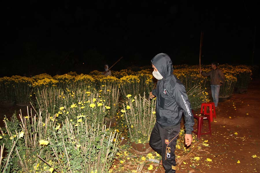 Nông dân cay đắng đập phá chậu hoa của mình. Ảnh: Văn Ngọc