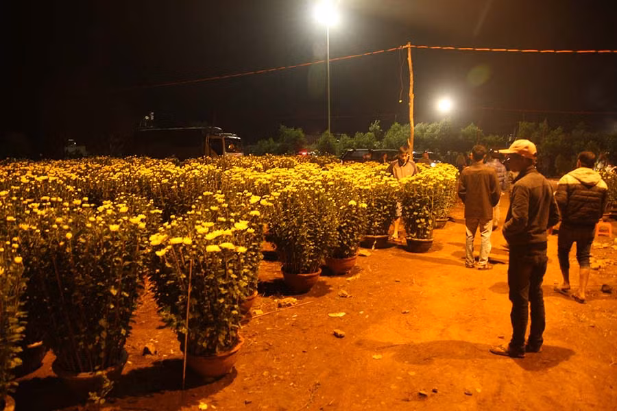 Hơn 23 giờ đêm nhưng hoa cúc vẫn la liệt. Ảnh: Văn Ngọc