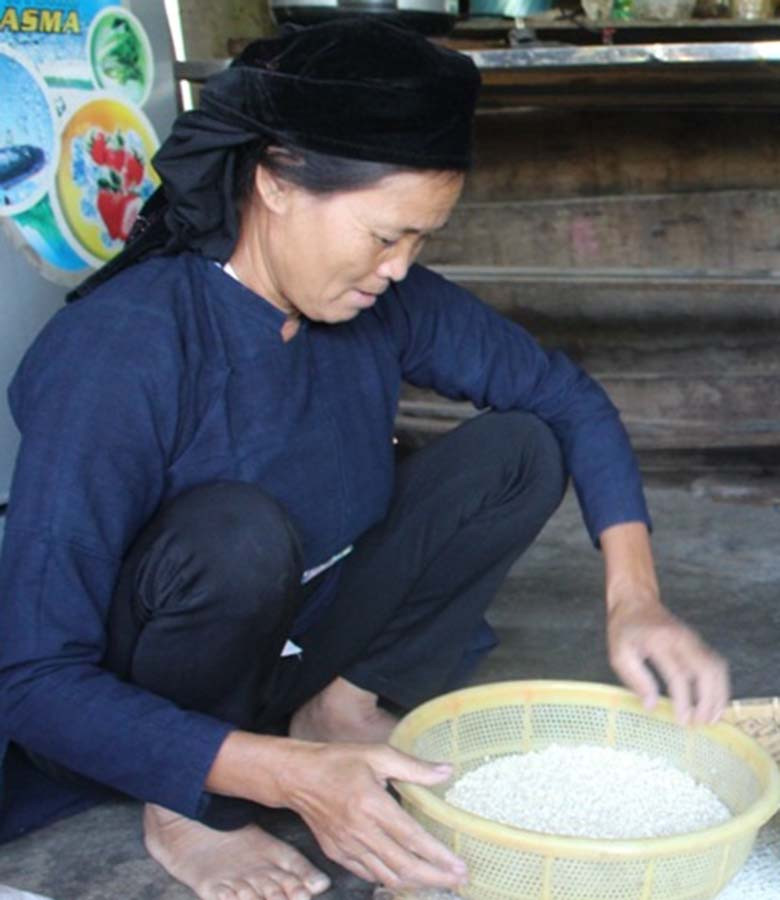  Chuẩn bị vật liệu để làm rượu ngô men lá. Ảnh: T.B